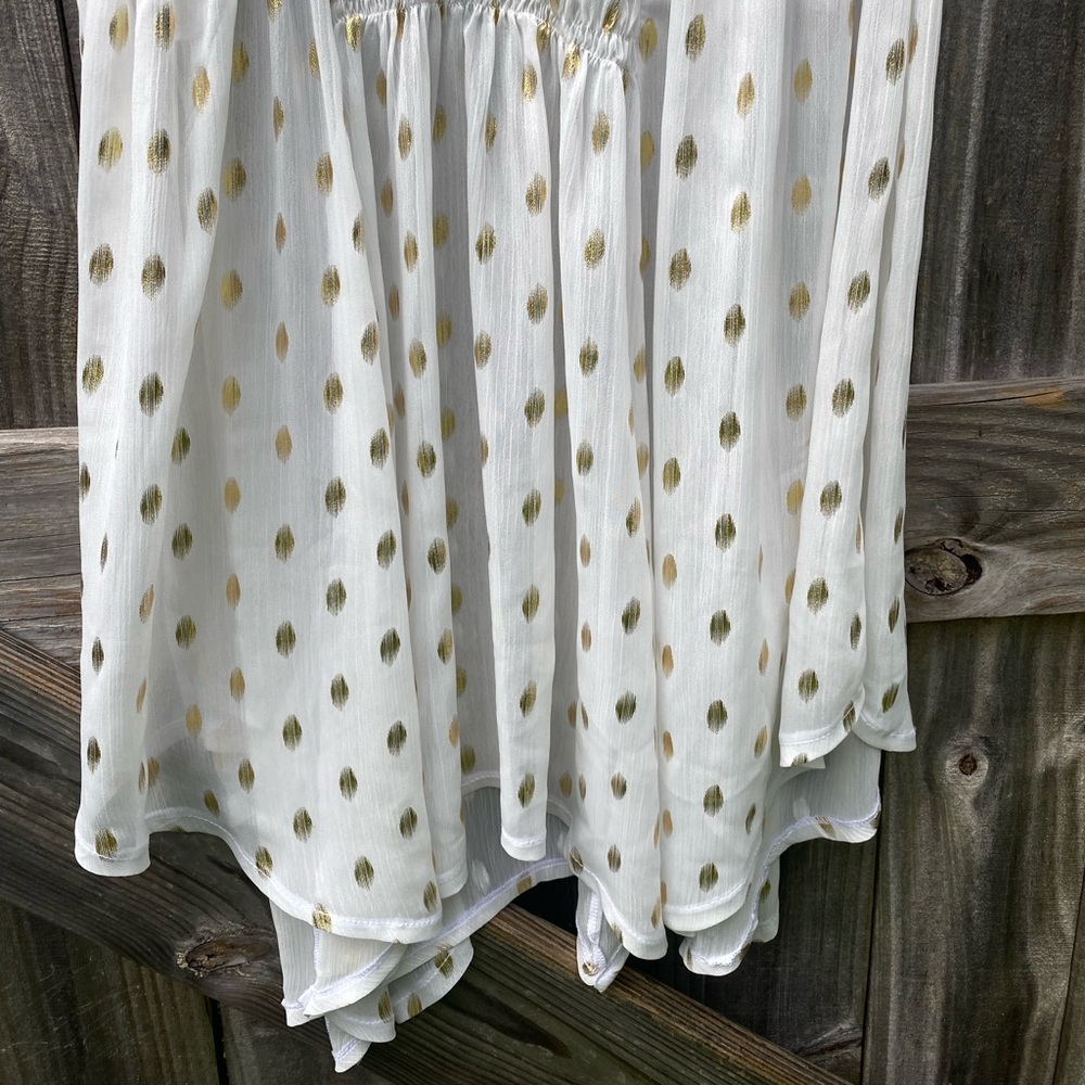 Plains & Prints Elegant White and Gold Polka Dot sheer Dress - Picture 3 of 11